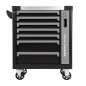 Chemcalworkz Professional Tool Cart 254pcs